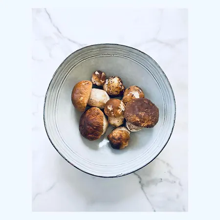 Pizzini Mottarone - Restaurant And Guest house Stresa