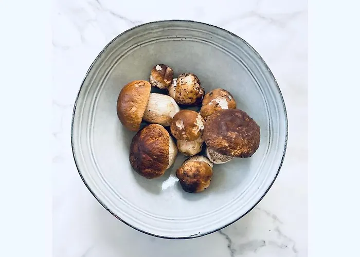 Pizzini Mottarone - Restaurant And Gasthuis Stresa