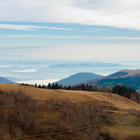 Pizzini Mottarone - Restaurant And